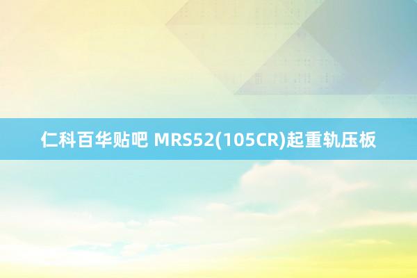 仁科百华贴吧 MRS52(105CR)起重轨压板