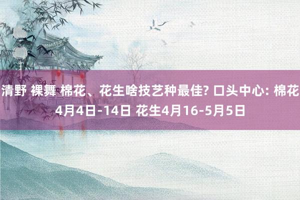 清野 裸舞 棉花、花生啥技艺种最佳? 口头中心: 棉花4月4日-14日 花生4月16-5月5日
